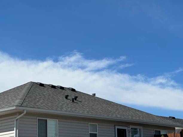 Best Skylight Installation and Repair  in Monticello, WI